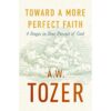 Toward A More Perfect Faith: 4 Stages In Your Pursuit Of God (Paperback)