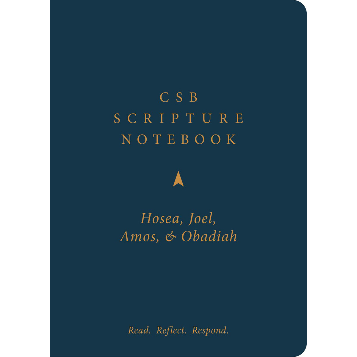 CSB Scripture Notebook Hosea Joel Amos Obadiah: Read Reflect Respond (Paperback)