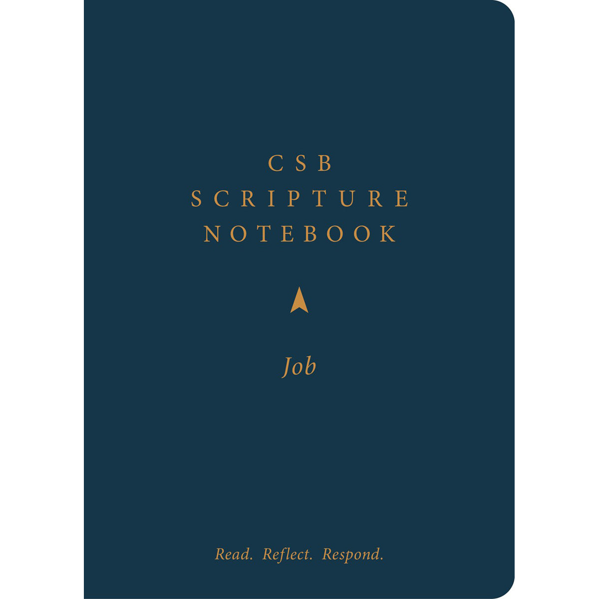 CSB Scripture Notebook Job: Read Reflect Respond (Paperback)