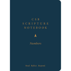 CSB Scripture Notebook Numbers: Read Reflect Respond (Paperback)