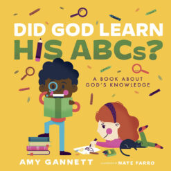 Did God Learn His ABCs?: A Book About God's Knowledge (Board Book)
