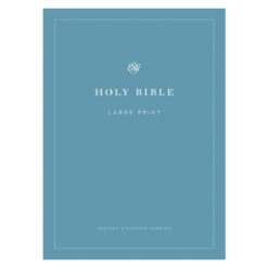 ESV Economy Bible Large Print Blue (Paperback)