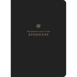 ESV Scripture Journal Ephesians (Paperback)