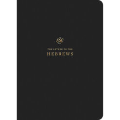 ESV Scripture Journal Hebrews (Paperback)