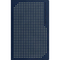 NLT Boys Life Application Study Bible, TuTone, Blue / Neon / Glow (Imitation Leather)