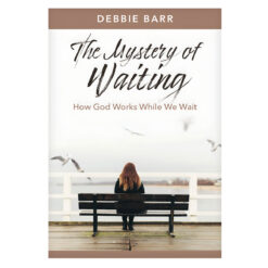 The Mystery of Waiting: How God Works While We Wait - Hope and Healing (Paperback)
