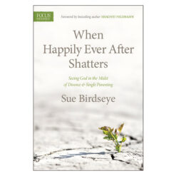 When Happily Ever After Shatters: Seeing God in the Midst of Divorce & Single Parenting PB
