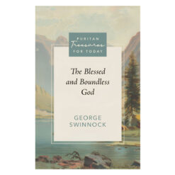 The Blessed and Boundless God - Puritan Treasures for Today (Paperback)