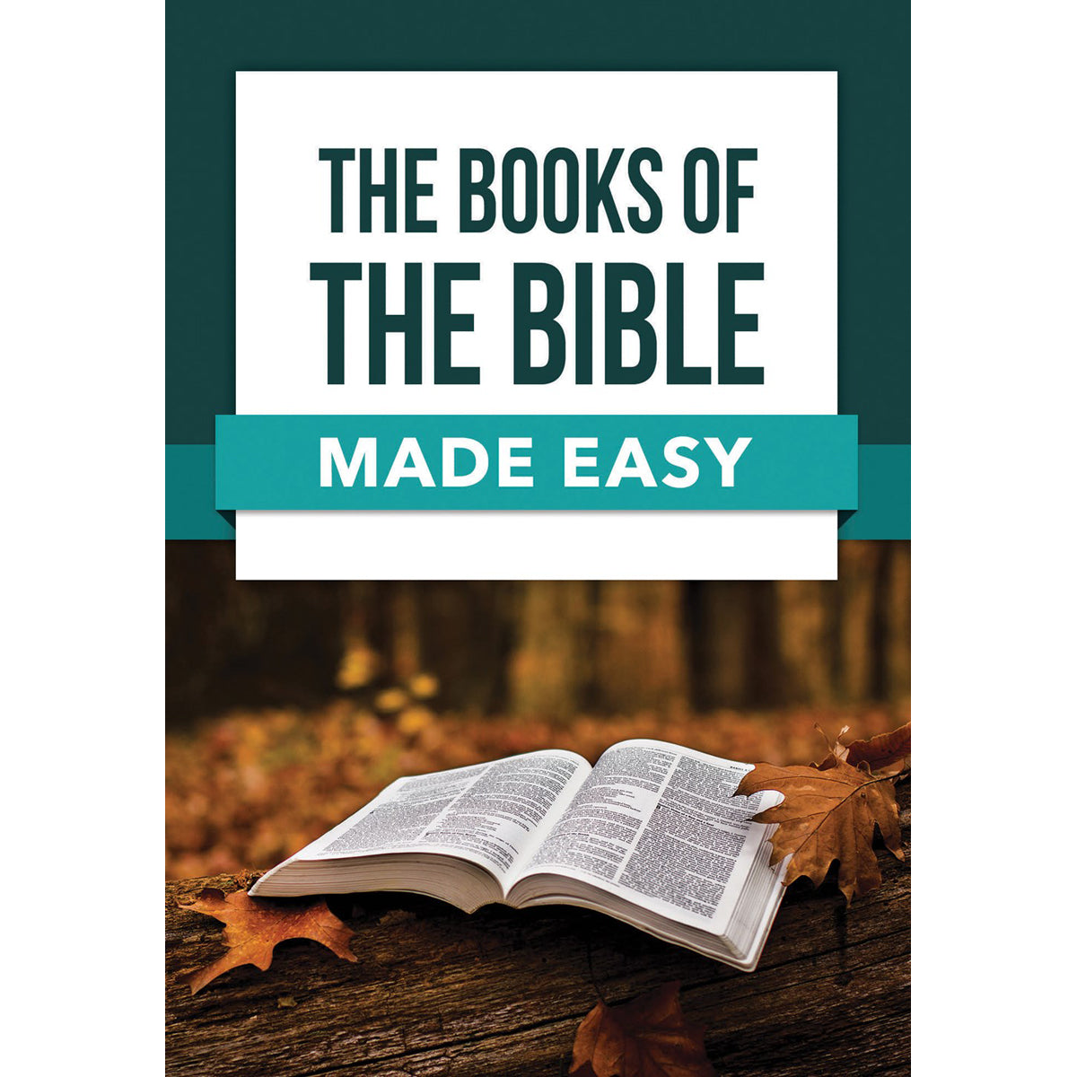 Books Of The Bible Made Easy (Paperback)