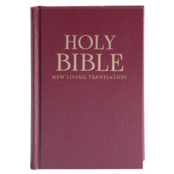 NLT Standard Bible Burgundy Hardcover