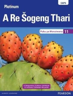 Platinum A Hi Peleni Nambu Grade 9 Teacher's Guide