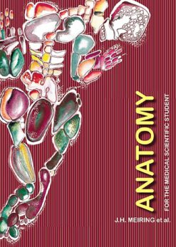 Anatomy for the medical scientific student  Edition: 2