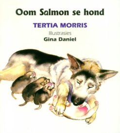 Rimpelstories Leesboek Vlak 3:  Ma soek ’n rok - Grade 1 (Nas. Kur)