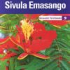 Platinum Sivula Emasango Grade 8 Teacher's Guide