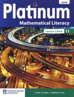 Platinum Mathematical Literacy Grade 10 Teacher's Guide