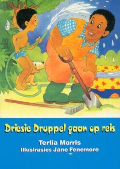 Rimpelstories Leesboek Vlak 6:  Die vergadering - Grade 2 (Nas. Kur)