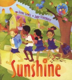 Stars of Africa Reader:  Stone for a fish, A - Grade 3